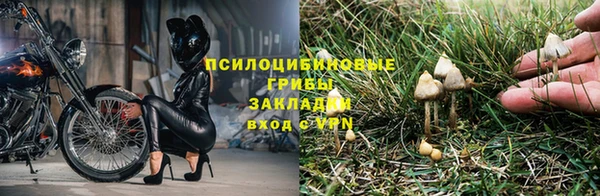марихуана Богородск