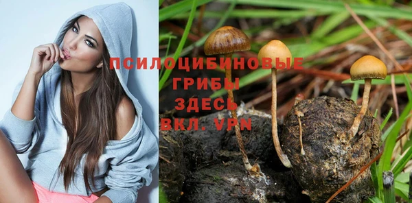 jwh Беломорск