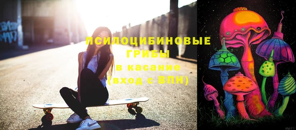 прущие крисы Богородицк