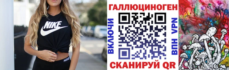 дарк нет Telegram Бобров Псилоцибиновые грибы Cubensis